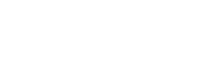 RapportinoPro